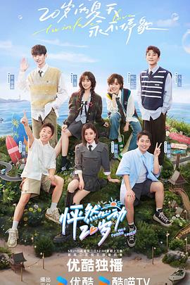 网站优化设置苹果版下载